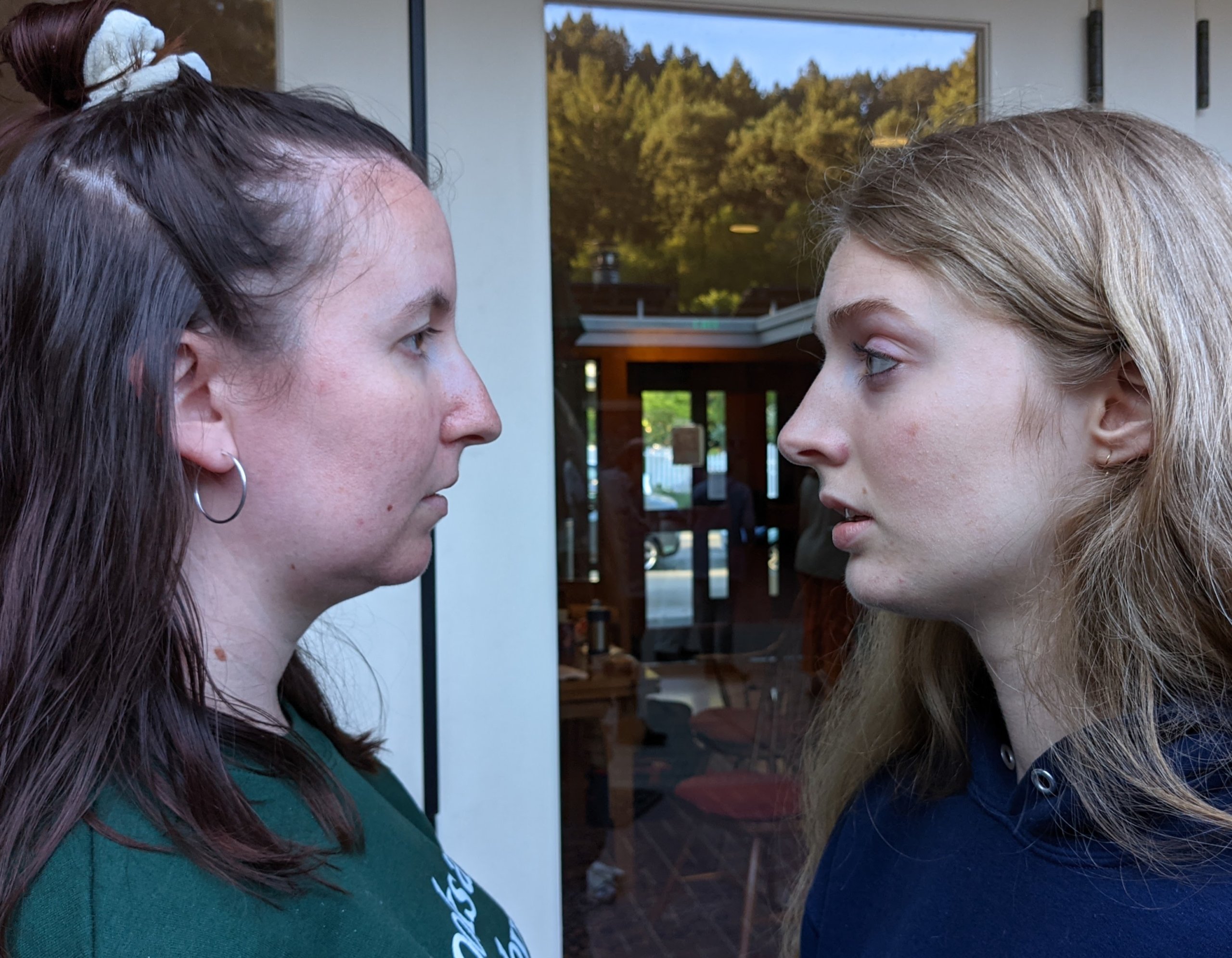 gender in twelfth night